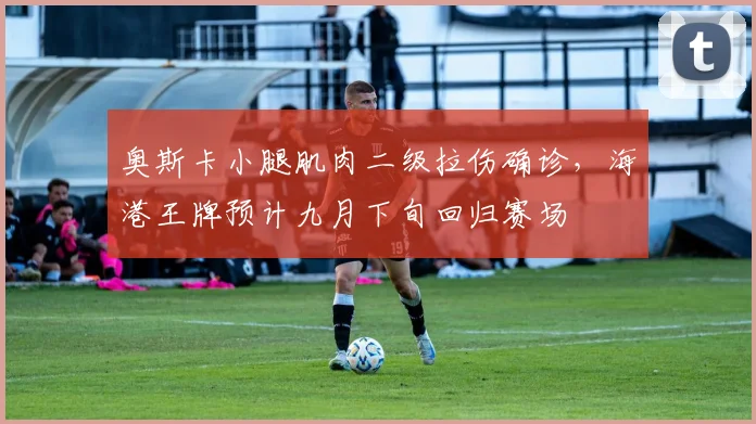 奥斯卡小腿肌肉二级拉伤确诊,海港王牌预计九月下旬回归赛场